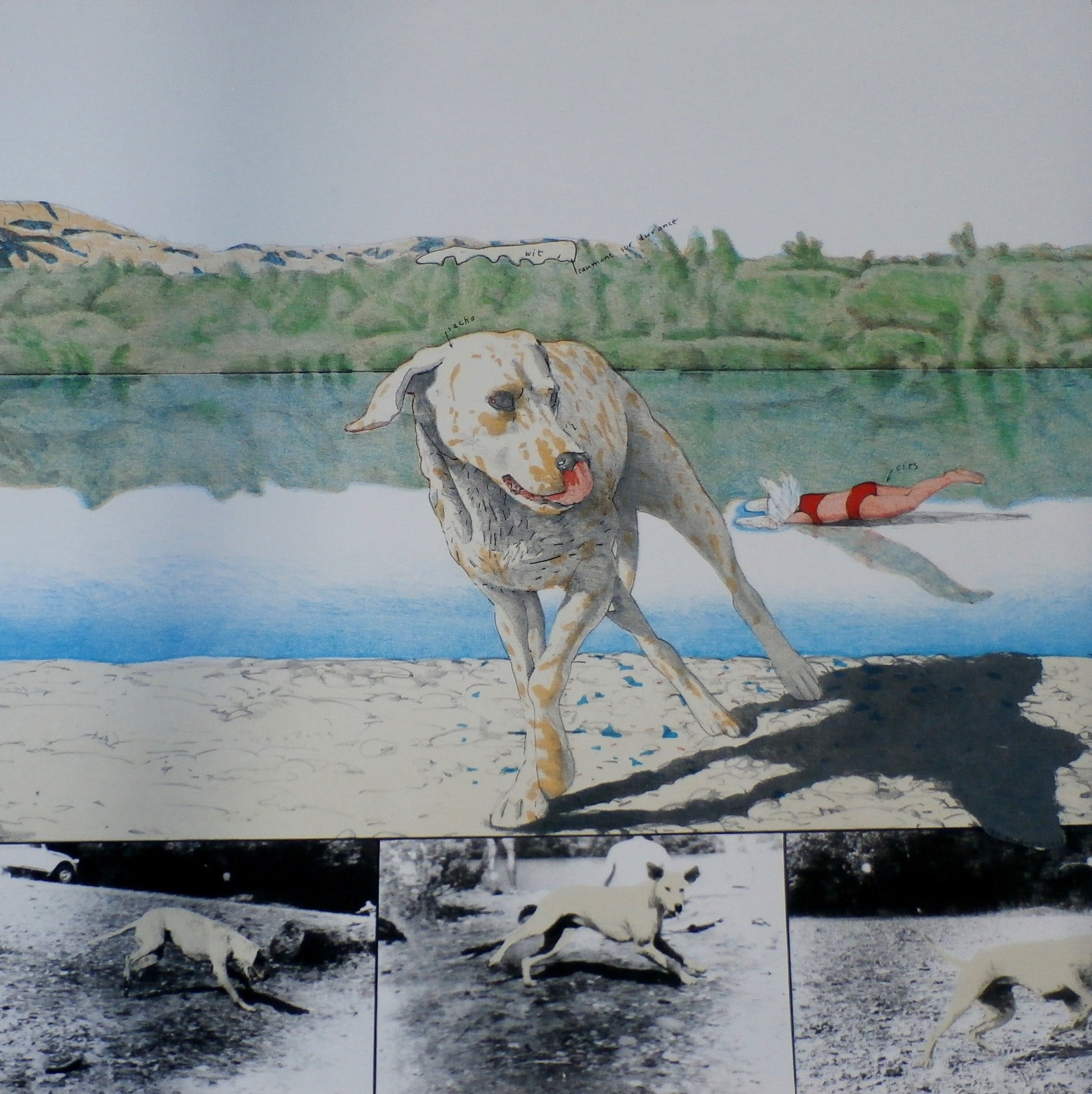 Pat Andrea - Litho: Over een hond in Frankrijk  kopen? Bied vanaf 100!