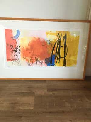 Peter Schenk - Handgesigneerde Kleurenzeefdruk z.t. verkocht voor € 80!