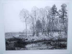 Charles Donker - Handgedrukte ets, oplage 50 - - Bos XVII - definitieve, 4e staat - 1999 verkocht voor € 350!