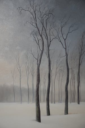 Daniel Desitter - Sneeuwlandschap Waasland kopen? Bied vanaf 300!