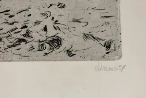 Adri Dijkhorst - Noord Spaanse kust kopen? Bied vanaf 50!