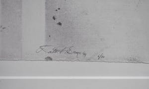 Hans Vanhorck - Walter Brems- Anouk, Rode kruis - Ingelijst - Groot kopen? Bied vanaf 50!