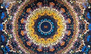Damien Hirst - Psychedelic - Handgesigneerd - 180 exemplaren vendu pour 7995€ !