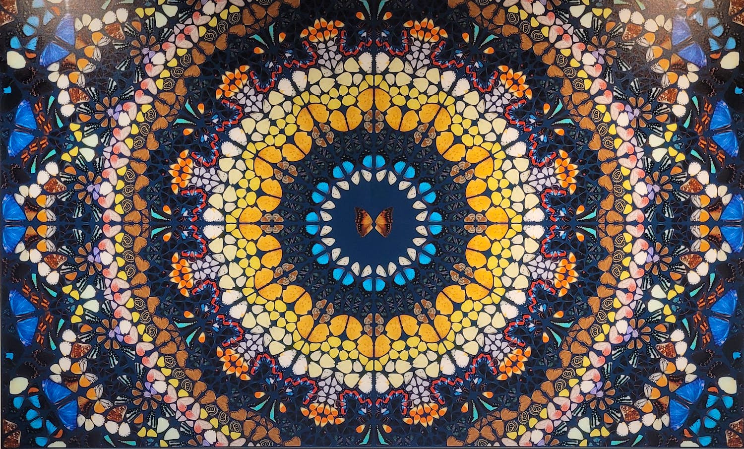 Damien Hirst - Psychedelic - Handgesigneerd - 180 exemplaren kopen? Bied vanaf 7995!