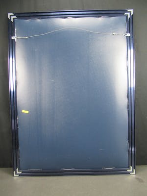 Hettie Saaiman - Tropische Vissen kopen? Bied vanaf 120!