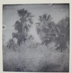 Stefanie Schneider - OASIS (Sidewinder), signiert und 1/25 nummeriert kopen? Bied vanaf 380!