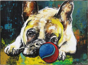 Daniel Maltzman - Acryl op doek, Dog with ball kopen? Bied vanaf 1!