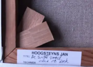Jan Hoogsteyns - DE WITTE VOGEL. kopen? Bied vanaf 85!