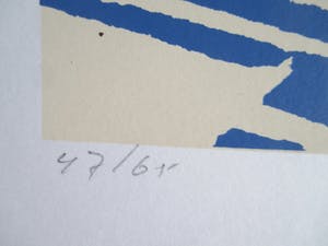 Kees Ballintijn - zeefdruk kopen? Bied vanaf 25!