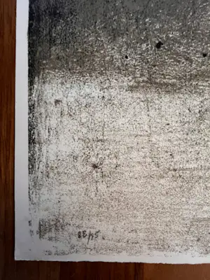 Johnny Friedländer - Grote kleurenets/aquatint - Nieuwstaat - 88/95 kopen? Bied vanaf 275!