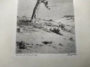 Dirk Harting - Duinlandschap kopen? Bied vanaf 40!