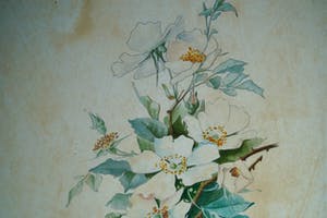 Niet of onleesbaar gesigneerd - 3 aquarellen in jugendstil kopen? Bied vanaf 1!