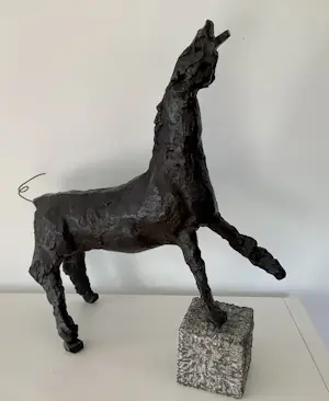 Ger Lataster - Paard kopen? Bied vanaf 975!