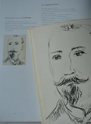 Kees van Dongen - Anatole France / Kees van Dongen; Le Lys Rouge. kopen? Bied vanaf 75!