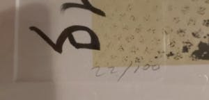 Herman Brood - Amazone kopen? Bied vanaf 450!