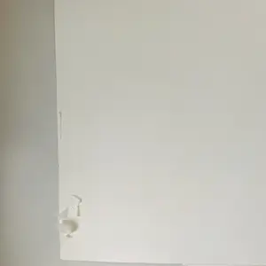 Bettina Lopetro - Birds kopen? Bied vanaf 33!