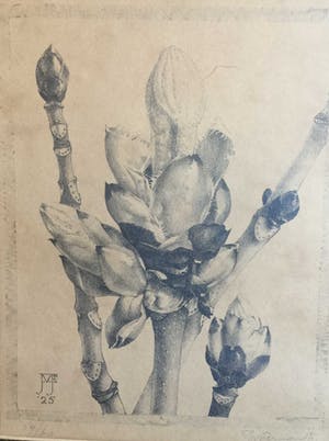 Jan Voerman - 8472 - Bloesem kopen? Bied vanaf 100!