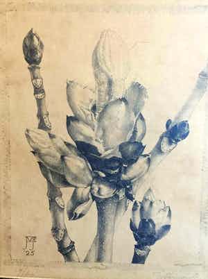 Jan Voerman - 8472 - Bloesem verkocht voor € 100!