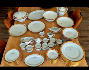 Royal Limoges - Porselein Servies Lomiges 70 stuks kopen? Bied vanaf 250!