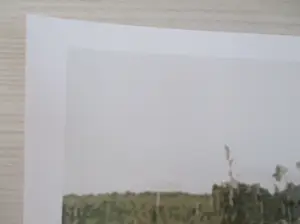 Banksy - Greenpeace, Save Or Delete kopen? Bied vanaf 1!