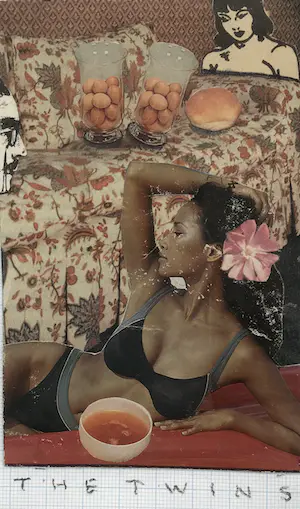 Reinier Lucassen - Collage “ The Twins” kopen? Bied vanaf 300!