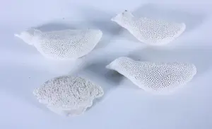 Kathja Smits - Porselein, Vogeltjes kopen? Bied vanaf 100!