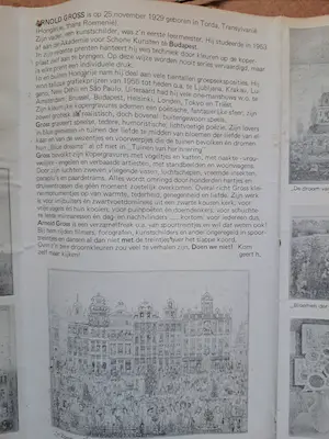 Arnold Gross - 'n Zondagse herinnering aan Brussel kopen? Bied vanaf 100!