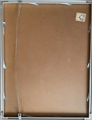 Ries Kleijnen - LEVENSLOOP kopen? Bied vanaf 39!