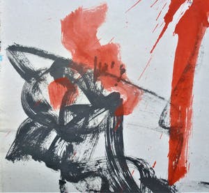 Anton Heyboer - De oer vogel . kopen? Bied vanaf 200!