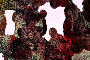 Ad van Riel - Wound Fever (1) kopen? Bied vanaf 85!