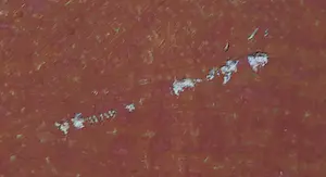 Lieuwe Smid - Olieverf op doek, Esta kopen? Bied vanaf 1!