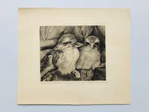 Frans IJserinkhuijsen - Reuzenijsvogels kopen? Bied vanaf 30!