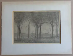 Simon Moulijn - BOMEN NAAST DE RIVIER / ZW-W LITHO / 22x29cm / 1906 / PASSE-PARTOUT kopen? Bied vanaf 25!
