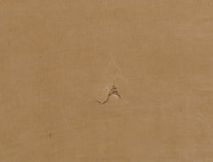 Silvio Merlino - Gemengde techniek op doek, Baucarella con falco e montagne (Zeer groot) kopen? Bied vanaf 1!