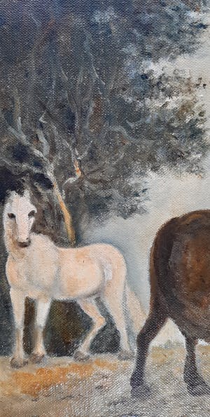 Anne Hoff - Twee paarden kopen? Bied vanaf 39!