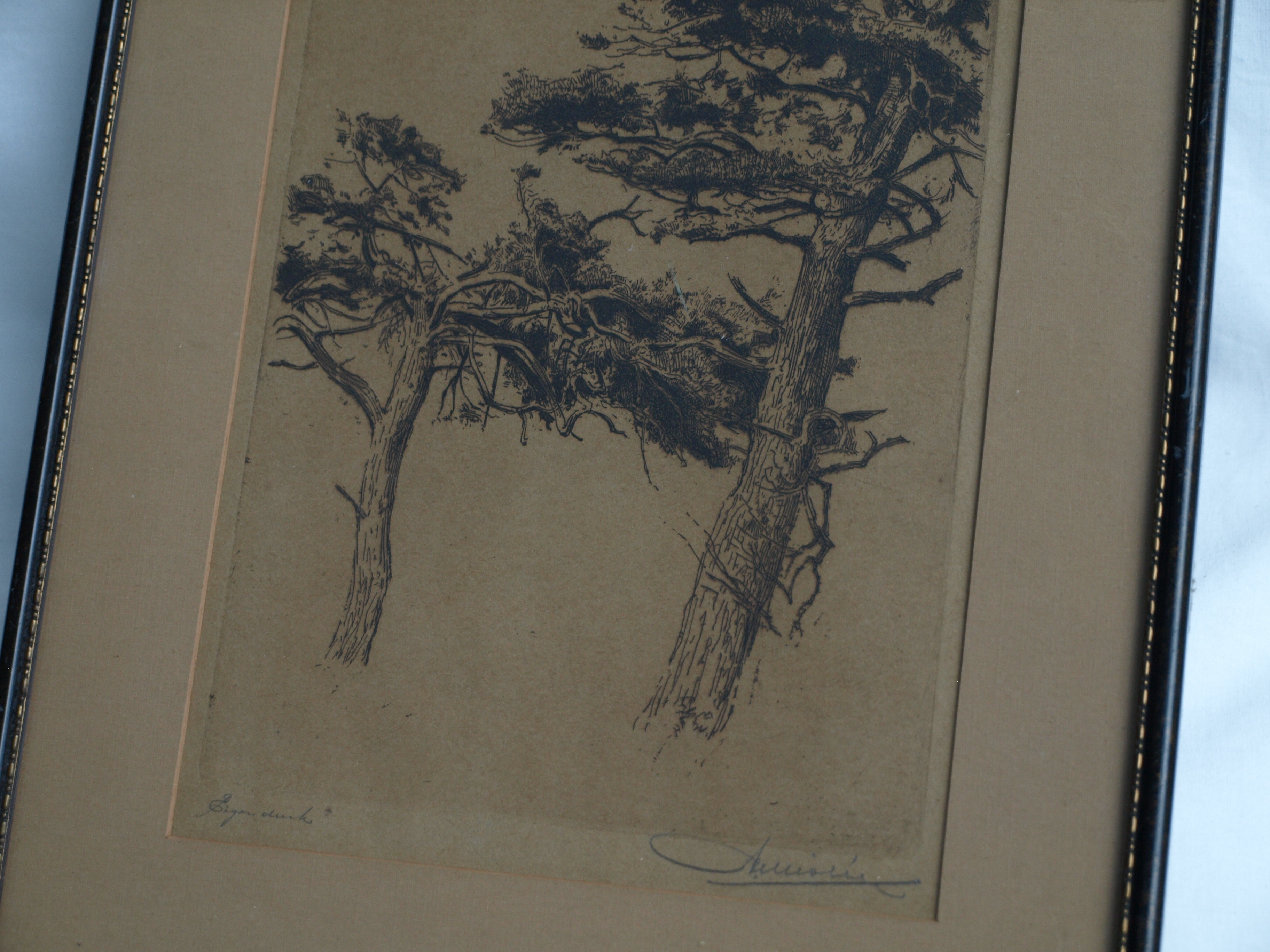 Niet of onleesbaar gesigneerd - Ets, 2 Bomen – gesigneerd & ingelijst – oud kopen? Bied vanaf 1!