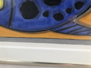 Corneille - Vis met slang kopen? Bied vanaf 500!