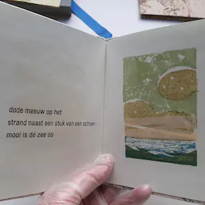 Hans van Draanen - Haiku in duplo kopen? Bied vanaf 60!