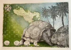 Rolf Weijburg - Testudo Gigantea at-baie Sainte Anne kopen? Bied vanaf 75!