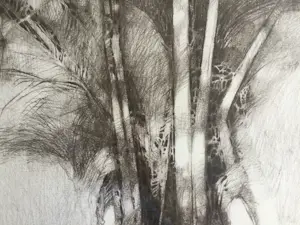 Ab Jongmans - Palm | grote litho - ingelijst kopen? Bied vanaf 39!