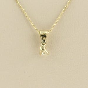 14k collier met solitair hanger bezet met briljant geslepen diamant 0,10ct kopen? Bied vanaf 160!