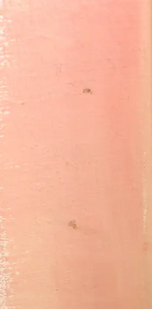 Lieuwe Smid - Olieverf op doek, Rita kopen? Bied vanaf 1!