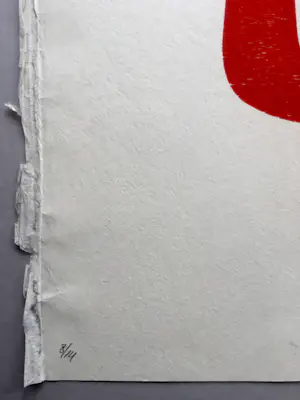 Klaas Gubbels - ‘Oranje kan ’ - houtdruk op geschept papier - 2023 kopen? Bied vanaf 385!