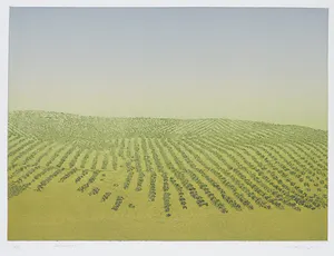 Henk Kastelijn - Kleurenets, Heuvels I kopen? Bied vanaf 20!