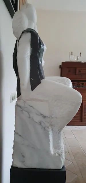 Tony van de Vorst - Vriendinnen kopen? Bied vanaf 1200!