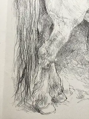 Piet Klaasse - Paarden, proefdrukken offsetlitho, 2-zijdig bedrukt, gesigneerd in druk kopen? Bied vanaf 20!