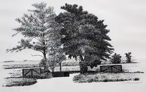 Sees Vlag - Ingelijste zeefdruk: "Krimpenerwaard" - 1980 verkocht voor € 85!