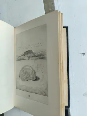 Simon Koene - Schelpenboekje kopen? Bied vanaf 325!