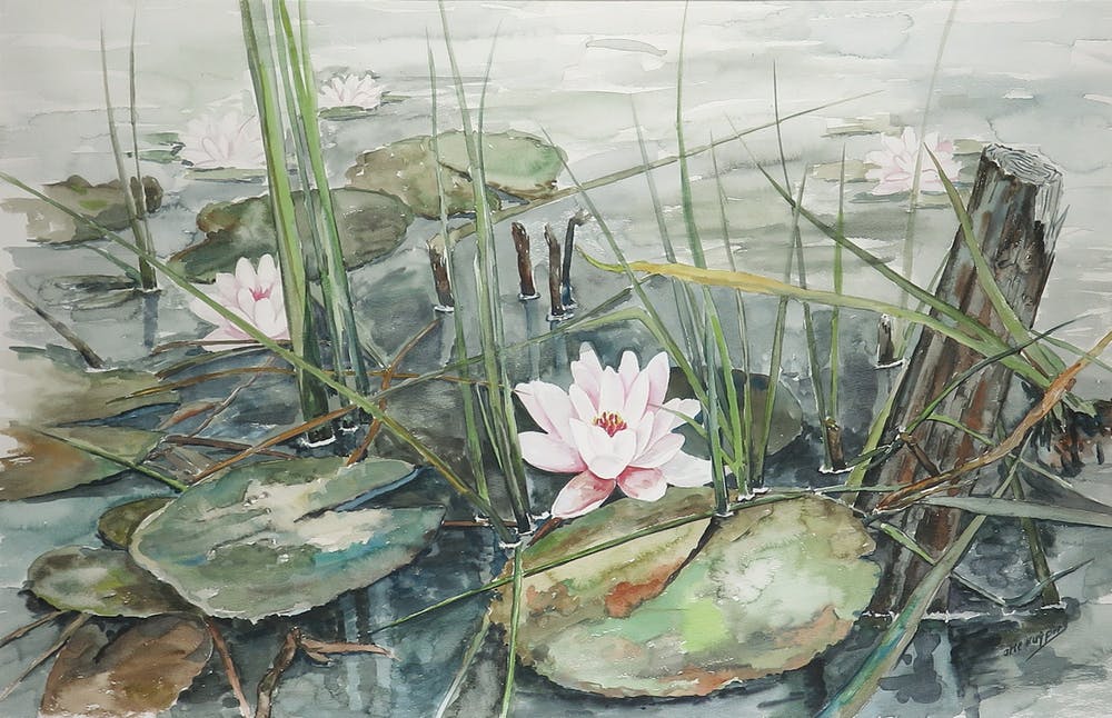 Arie Kuypers
