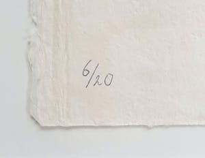 Klaas Gubbels - Groene kopjes - Nieuw ingelijst! kopen? Bied vanaf 450!